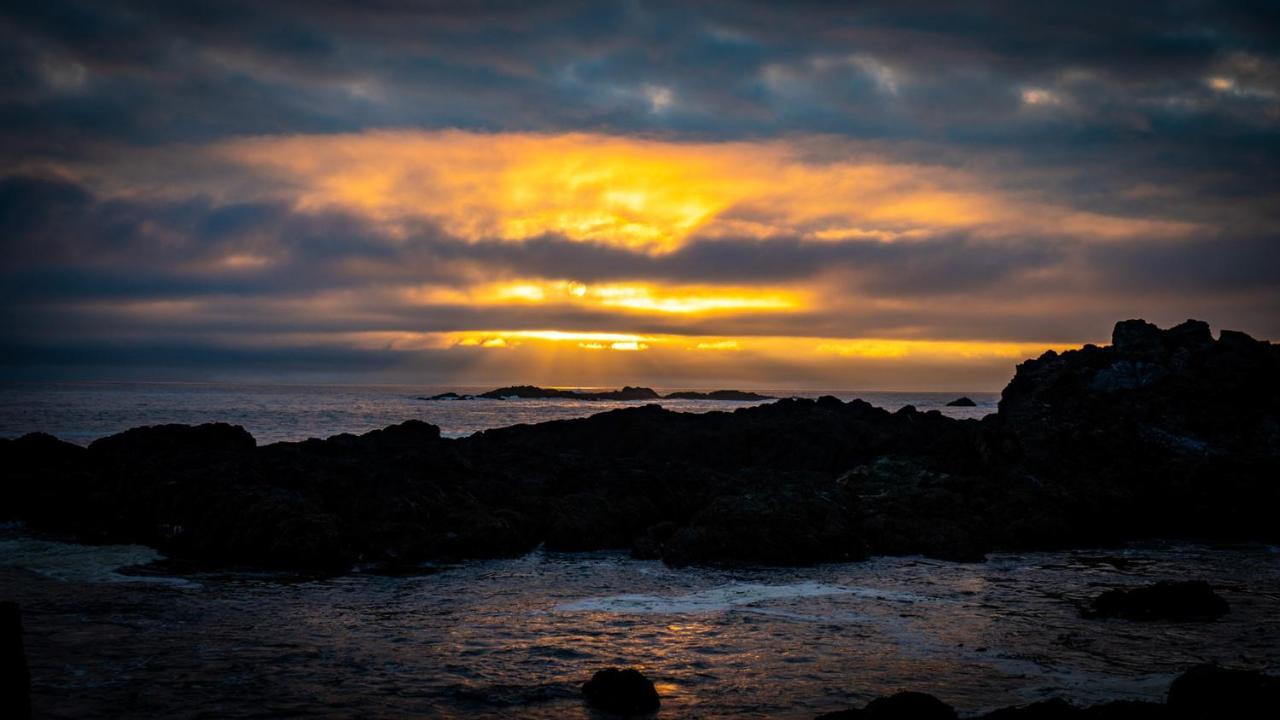 Odyssey Shores Guest Suite Ucluelet Exterior foto