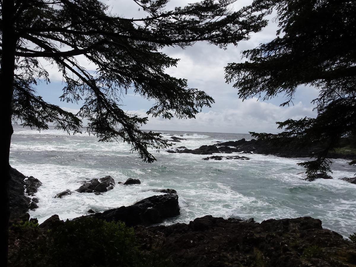 Odyssey Shores Guest Suite Ucluelet Exterior foto